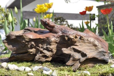 Gecko aus Teak