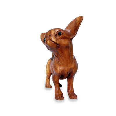 Mahogany Chihuahua