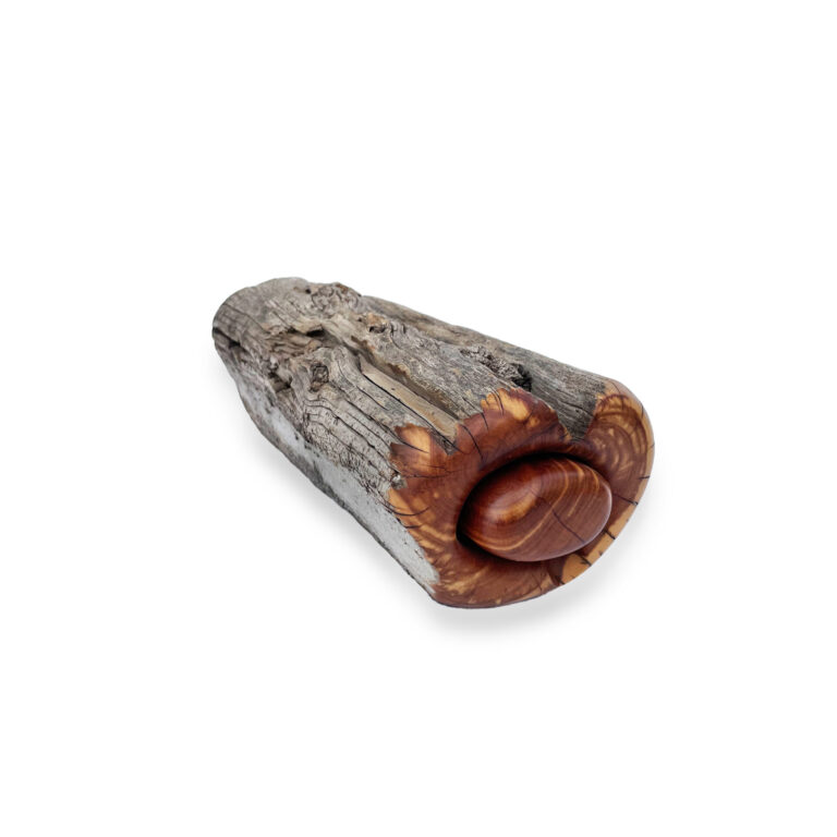 Schatulle aus Zedernholz (Keimling – Kompakt)