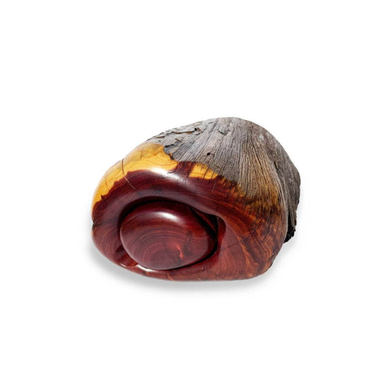 Schatulle aus Zedernholz (Keimling)
