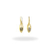 Set Svst 004 2